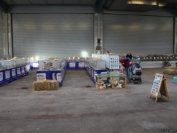 Lingener Kleintiertage November 2015